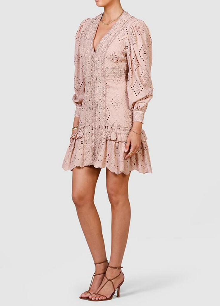 Nouveau Embroidery Mini Dress | She ...